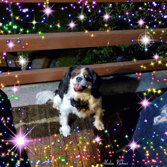 Meet your Posher, Beverly - Picture 1 of 1